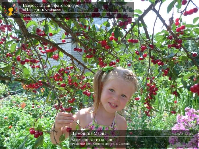 Всероссийский фотоконкурс «Праздник урожая»  - детский рисунок, поделка, творческая работа, категория школьники, 1 класс, дистанционный конкурс, школьный конкурс