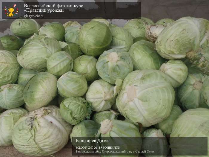 Всероссийский фотоконкурс «Праздник урожая»  - детский рисунок, поделка, творческая работа, категория дошкольники, детский сад, дистанционный конкурс, школьный конкурс