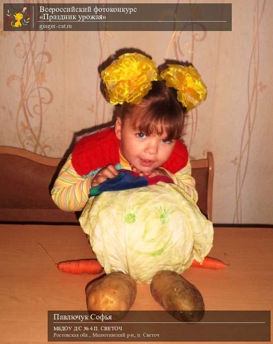 Всероссийский фотоконкурс «Праздник урожая»  - детский рисунок, поделка, творческая работа, категория дошкольники, детский сад, дистанционный конкурс, школьный конкурс