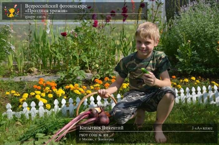 Всероссийский фотоконкурс «Праздник урожая»  - детский рисунок, поделка, творческая работа, категория школьники, 3 класс, дистанционный конкурс, школьный конкурс