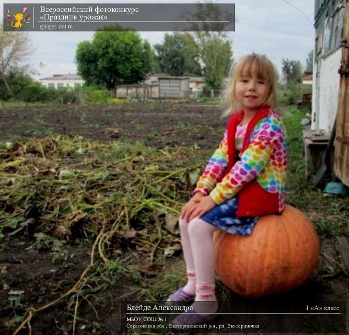 Всероссийский фотоконкурс «Праздник урожая»  - детский рисунок, поделка, творческая работа, категория школьники, 1 класс, дистанционный конкурс, школьный конкурс