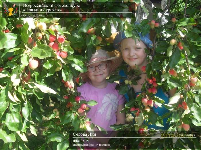 Всероссийский фотоконкурс «Праздник урожая»  - детский рисунок, поделка, творческая работа, категория школьники, 4 класс, дистанционный конкурс, школьный конкурс