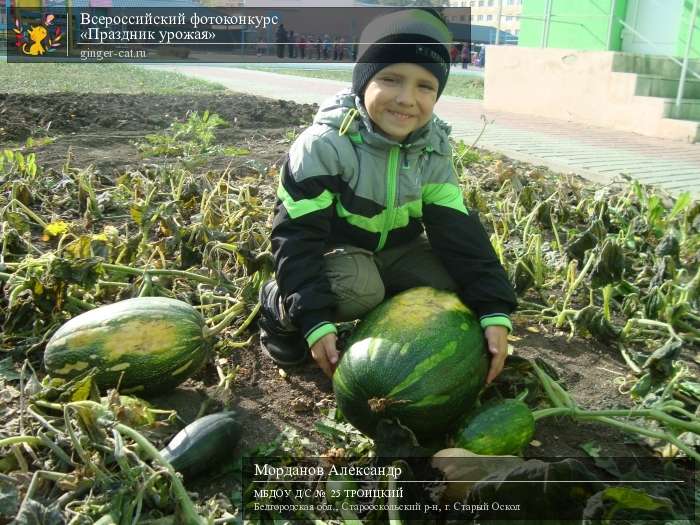 Всероссийский фотоконкурс «Праздник урожая»  - детский рисунок, поделка, творческая работа, категория дошкольники, детский сад, дистанционный конкурс, школьный конкурс