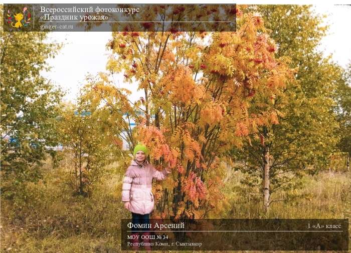 Всероссийский фотоконкурс «Праздник урожая»  - детский рисунок, поделка, творческая работа, категория школьники, 1 класс, дистанционный конкурс, школьный конкурс