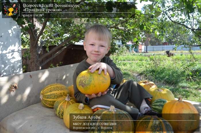 Всероссийский фотоконкурс «Праздник урожая»  - детский рисунок, поделка, творческая работа, категория дошкольники, детский сад, дистанционный конкурс, школьный конкурс