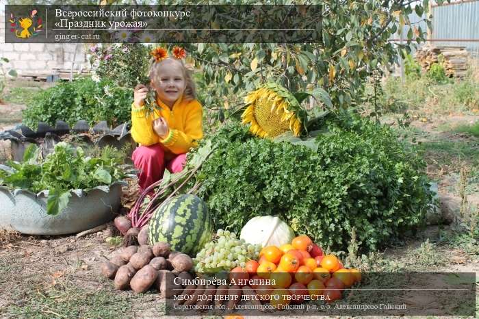 Всероссийский фотоконкурс «Праздник урожая»  - детский рисунок, поделка, творческая работа, категория дошкольники, детский сад, дистанционный конкурс, школьный конкурс