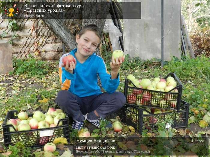 Всероссийский фотоконкурс «Праздник урожая»  - детский рисунок, поделка, творческая работа, категория школьники, 4 класс, дистанционный конкурс, школьный конкурс