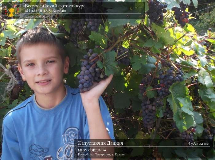 Всероссийский фотоконкурс «Праздник урожая»  - детский рисунок, поделка, творческая работа, категория школьники, 4 класс, дистанционный конкурс, школьный конкурс