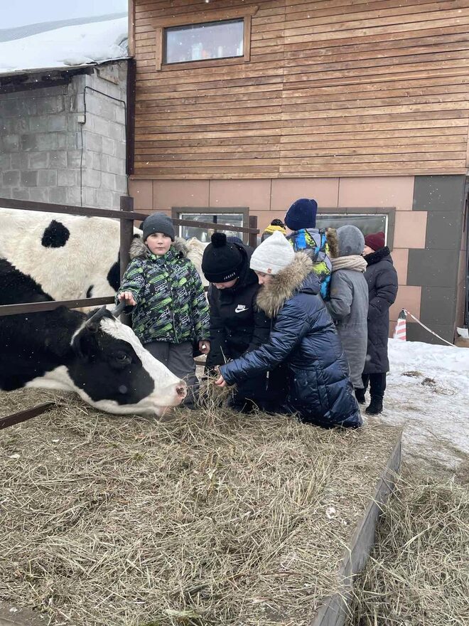 Международный творческий конкурс «Эти забавные животные»  - детский рисунок, поделка, творческая работа, категория школьники, 3 класс, дистанционный конкурс, школьный конкурс