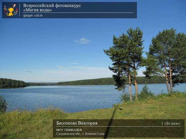 Всероссийский фотоконкурс «Магия воды»  - детский рисунок, поделка, творческая работа, категория школьники, 1 класс, дистанционный конкурс, школьный конкурс