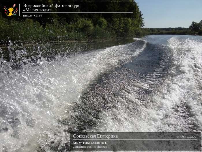 Всероссийский фотоконкурс «Магия воды»  - детский рисунок, поделка, творческая работа, категория школьники, 2 класс, дистанционный конкурс, школьный конкурс