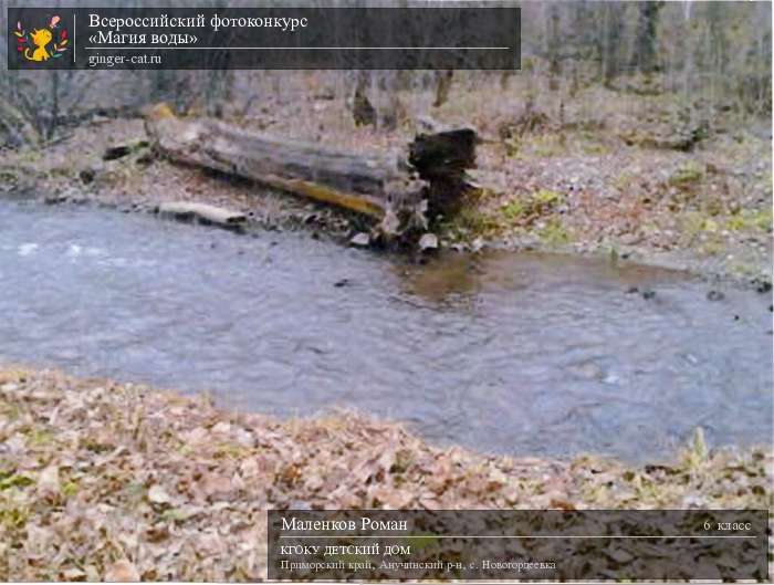 Всероссийский фотоконкурс «Магия воды»  - детский рисунок, поделка, творческая работа, категория школьники, 6 класс, дистанционный конкурс, школьный конкурс