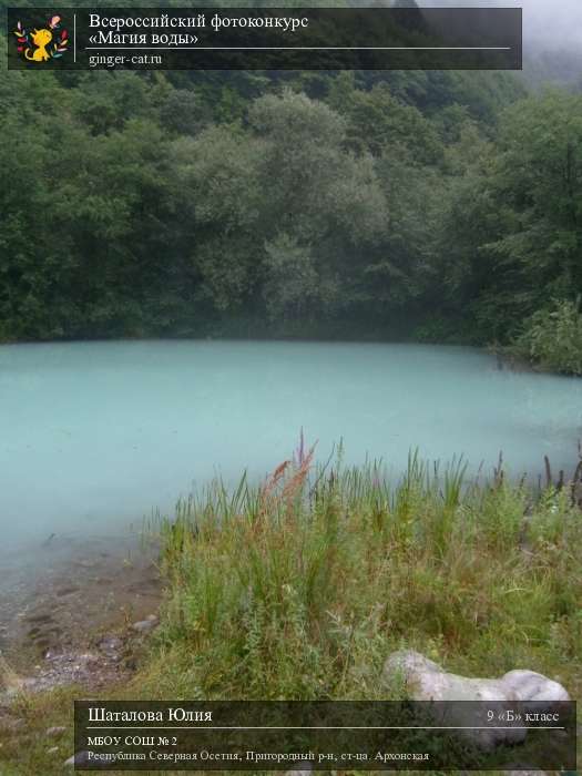 Всероссийский фотоконкурс «Магия воды»  - детский рисунок, поделка, творческая работа, категория школьники, 9 класс, дистанционный конкурс, школьный конкурс