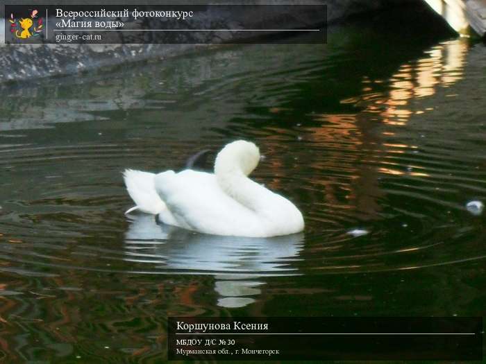 Всероссийский фотоконкурс «Магия воды»  - детский рисунок, поделка, творческая работа, категория дошкольники, детский сад, дистанционный конкурс, школьный конкурс