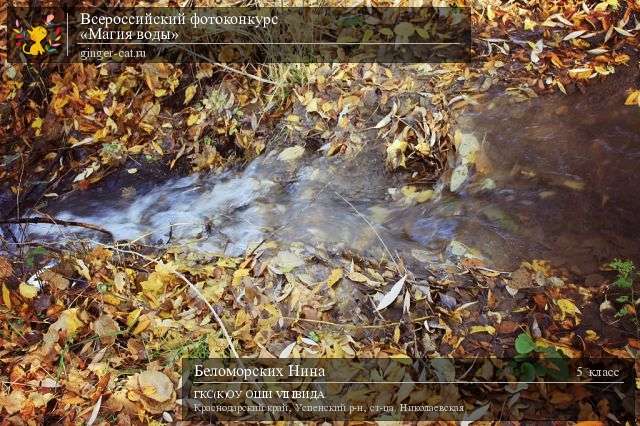 Всероссийский фотоконкурс «Магия воды»  - детский рисунок, поделка, творческая работа, категория школьники, 5 класс, дистанционный конкурс, школьный конкурс