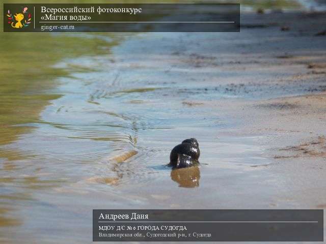 Всероссийский фотоконкурс «Магия воды»  - детский рисунок, поделка, творческая работа, категория дошкольники, детский сад, дистанционный конкурс, школьный конкурс