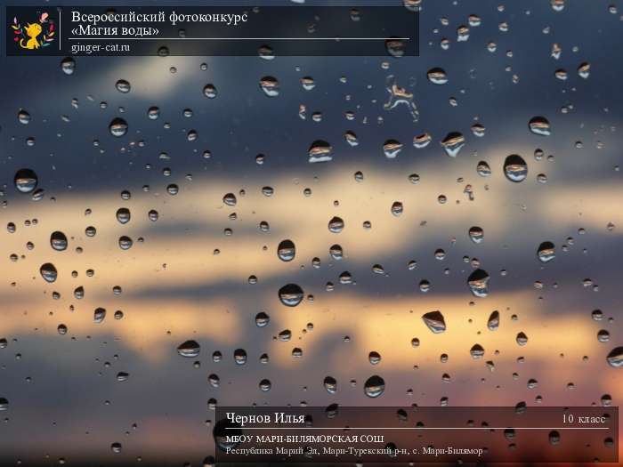 Всероссийский фотоконкурс «Магия воды»  - детский рисунок, поделка, творческая работа, категория школьники, 10 класс, дистанционный конкурс, школьный конкурс