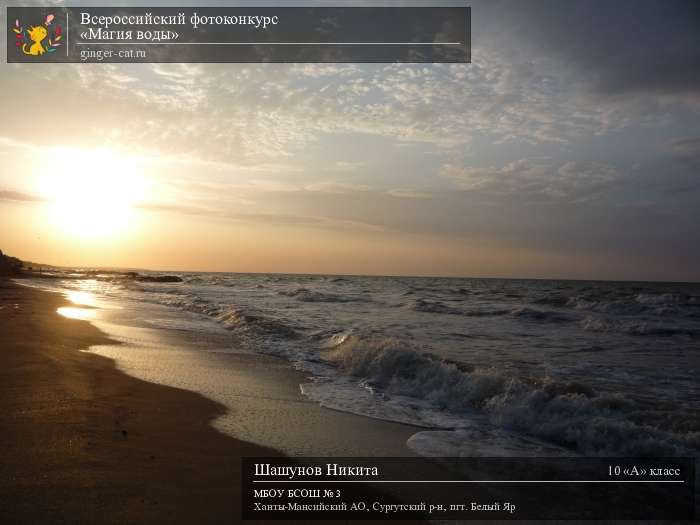 Всероссийский фотоконкурс «Магия воды»  - детский рисунок, поделка, творческая работа, категория школьники, 10 класс, дистанционный конкурс, школьный конкурс