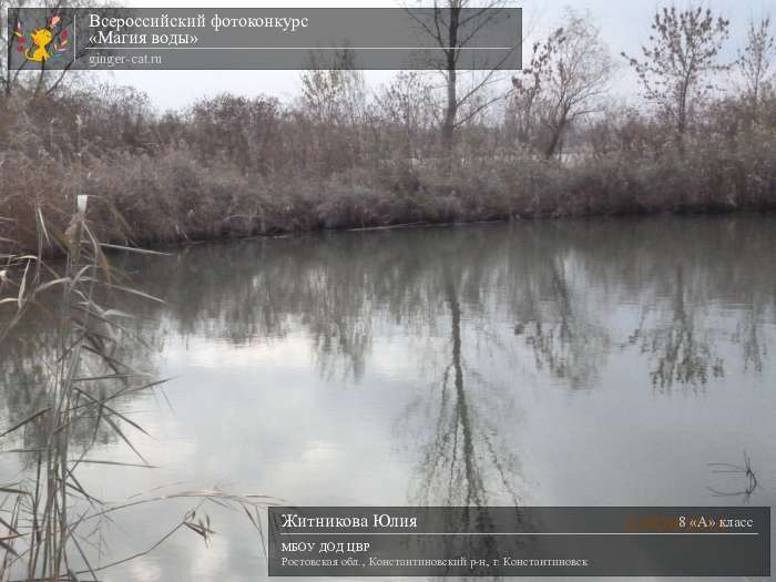 Всероссийский фотоконкурс «Магия воды»  - детский рисунок, поделка, творческая работа, категория школьники, 8 класс, дистанционный конкурс, школьный конкурс