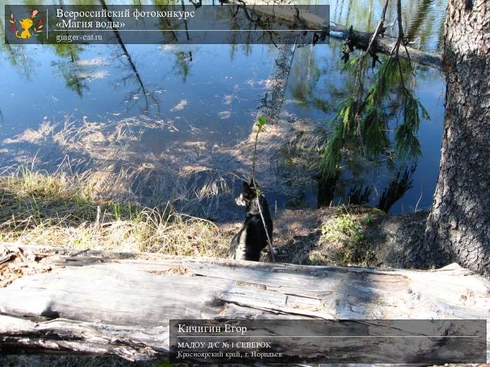 Всероссийский фотоконкурс «Магия воды»  - детский рисунок, поделка, творческая работа, категория дошкольники, детский сад, дистанционный конкурс, школьный конкурс