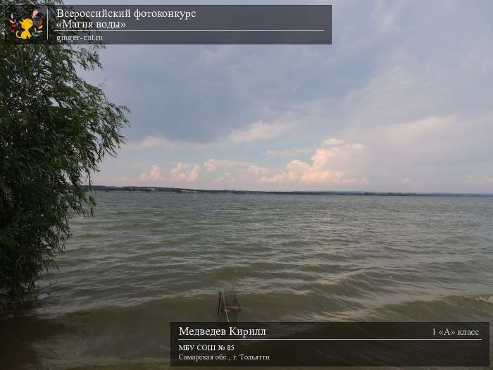 Всероссийский фотоконкурс «Магия воды»  - детский рисунок, поделка, творческая работа, категория школьники, 1 класс, дистанционный конкурс, школьный конкурс