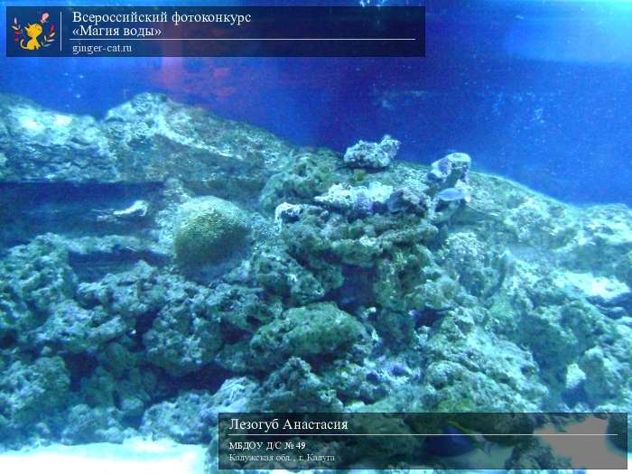 Всероссийский фотоконкурс «Магия воды»  - детский рисунок, поделка, творческая работа, категория дошкольники, детский сад, дистанционный конкурс, школьный конкурс