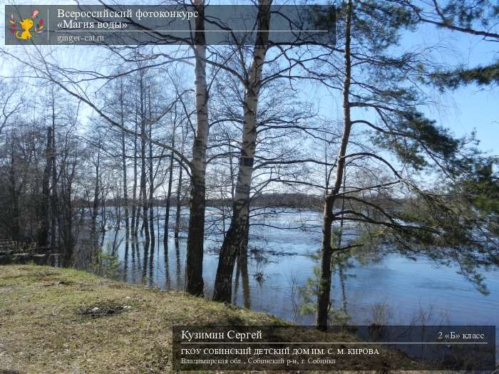 Всероссийский фотоконкурс «Магия воды»  - детский рисунок, поделка, творческая работа, категория школьники, 2 класс, дистанционный конкурс, школьный конкурс