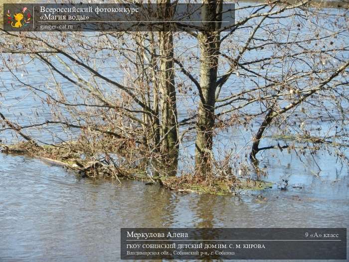 Всероссийский фотоконкурс «Магия воды»  - детский рисунок, поделка, творческая работа, категория школьники, 9 класс, дистанционный конкурс, школьный конкурс