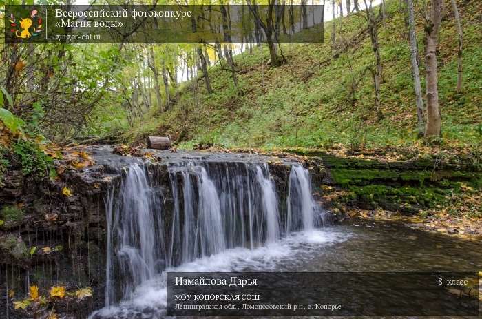 Всероссийский фотоконкурс «Магия воды»  - детский рисунок, поделка, творческая работа, категория школьники, 8 класс, дистанционный конкурс, школьный конкурс