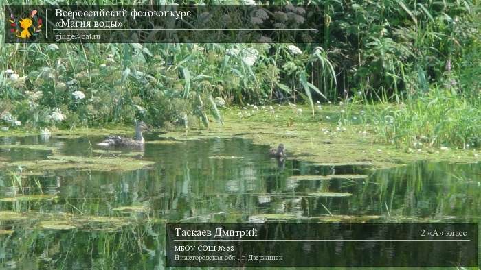 Всероссийский фотоконкурс «Магия воды»  - детский рисунок, поделка, творческая работа, категория школьники, 2 класс, дистанционный конкурс, школьный конкурс