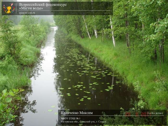 Всероссийский фотоконкурс «Магия воды»  - детский рисунок, поделка, творческая работа, категория школьники, 3 класс, дистанционный конкурс, школьный конкурс