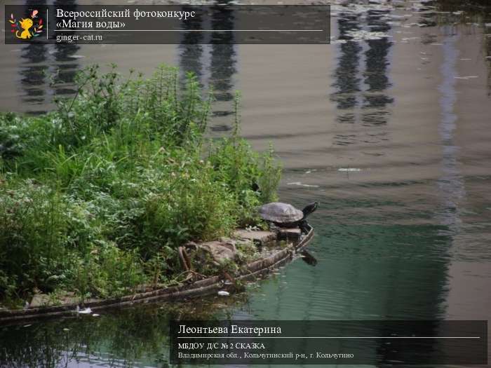 Всероссийский фотоконкурс «Магия воды»  - детский рисунок, поделка, творческая работа, категория дошкольники, детский сад, дистанционный конкурс, школьный конкурс