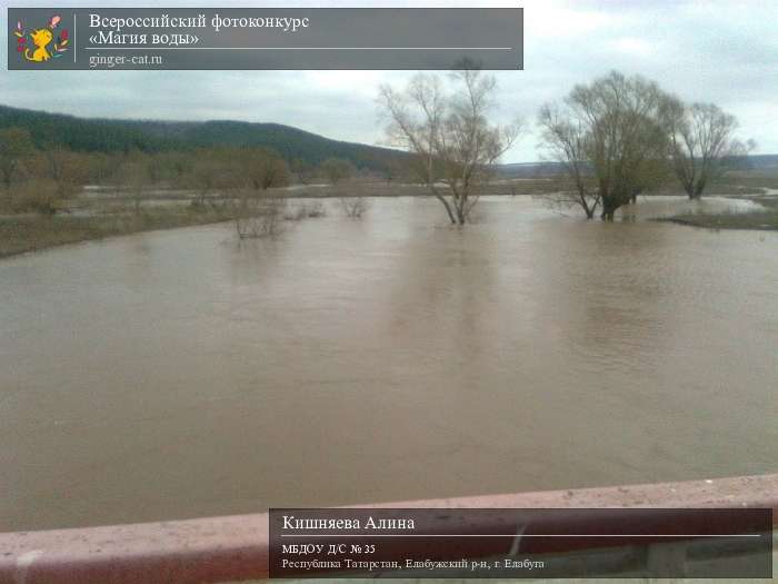 Всероссийский фотоконкурс «Магия воды»  - детский рисунок, поделка, творческая работа, категория дошкольники, детский сад, дистанционный конкурс, школьный конкурс