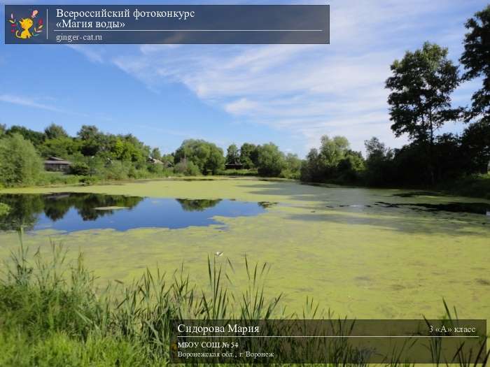 Всероссийский фотоконкурс «Магия воды»  - детский рисунок, поделка, творческая работа, категория школьники, 3 класс, дистанционный конкурс, школьный конкурс