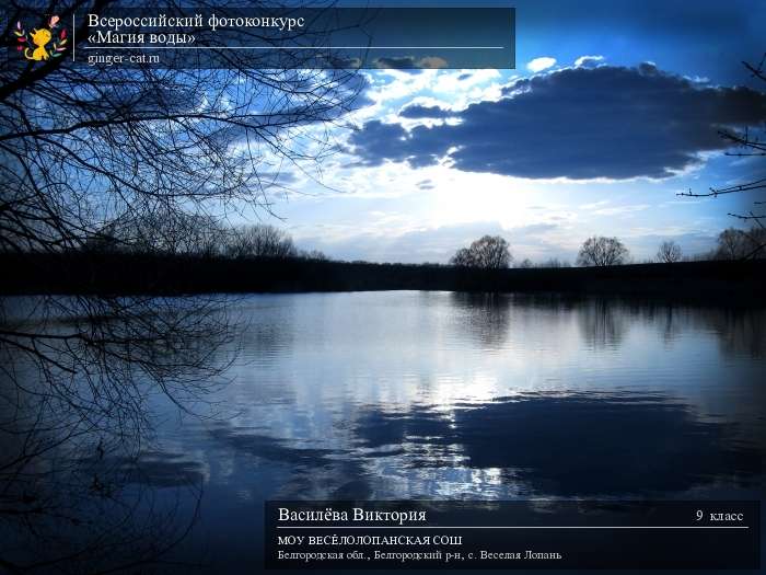 Всероссийский фотоконкурс «Магия воды»  - детский рисунок, поделка, творческая работа, категория школьники, 9 класс, дистанционный конкурс, школьный конкурс