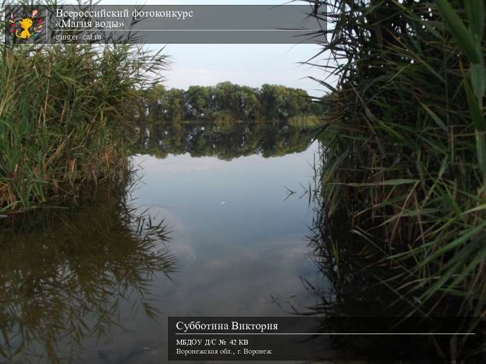 Всероссийский фотоконкурс «Магия воды»  - детский рисунок, поделка, творческая работа, категория дошкольники, детский сад, дистанционный конкурс, школьный конкурс