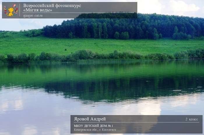 Всероссийский фотоконкурс «Магия воды»  - детский рисунок, поделка, творческая работа, категория школьники, 2 класс, дистанционный конкурс, школьный конкурс