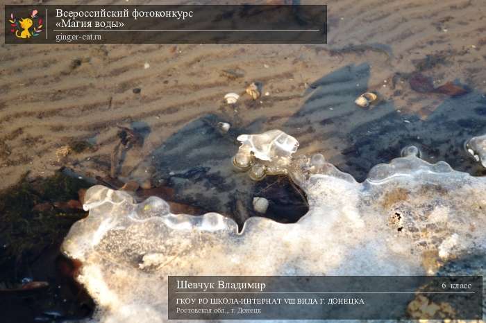 Всероссийский фотоконкурс «Магия воды»  - детский рисунок, поделка, творческая работа, категория школьники, 6 класс, дистанционный конкурс, школьный конкурс