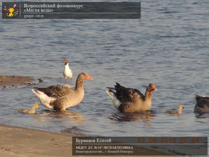 Всероссийский фотоконкурс «Магия воды»  - детский рисунок, поделка, творческая работа, категория дошкольники, детский сад, дистанционный конкурс, школьный конкурс