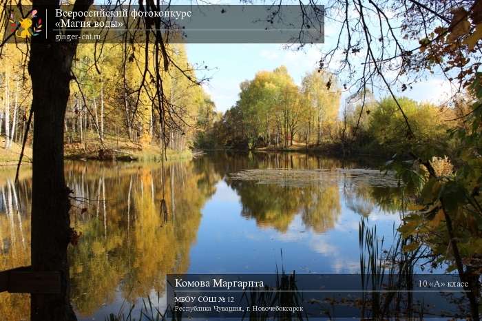 Всероссийский фотоконкурс «Магия воды»  - детский рисунок, поделка, творческая работа, категория школьники, 10 класс, дистанционный конкурс, школьный конкурс