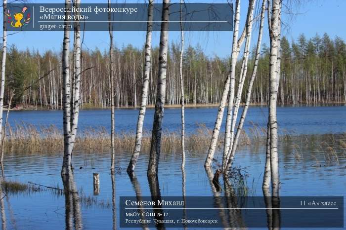 Всероссийский фотоконкурс «Магия воды»  - детский рисунок, поделка, творческая работа, категория школьники, 11 класс, дистанционный конкурс, школьный конкурс