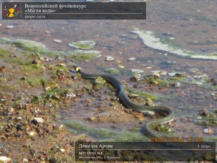 Всероссийский фотоконкурс «Магия воды»  - детский рисунок, поделка, творческая работа, категория школьники, 3 класс, дистанционный конкурс, школьный конкурс