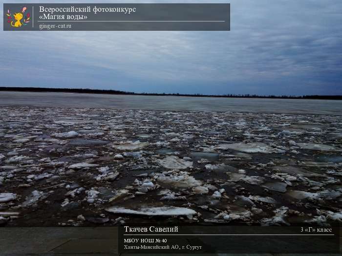 Всероссийский фотоконкурс «Магия воды»  - детский рисунок, поделка, творческая работа, категория школьники, 3 класс, дистанционный конкурс, школьный конкурс