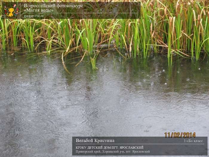 Всероссийский фотоконкурс «Магия воды»  - детский рисунок, поделка, творческая работа, категория школьники, 3 класс, дистанционный конкурс, школьный конкурс