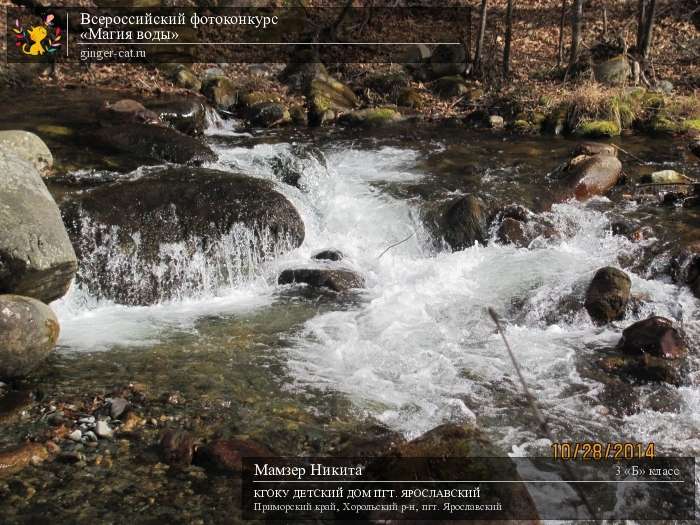 Всероссийский фотоконкурс «Магия воды»  - детский рисунок, поделка, творческая работа, категория школьники, 3 класс, дистанционный конкурс, школьный конкурс