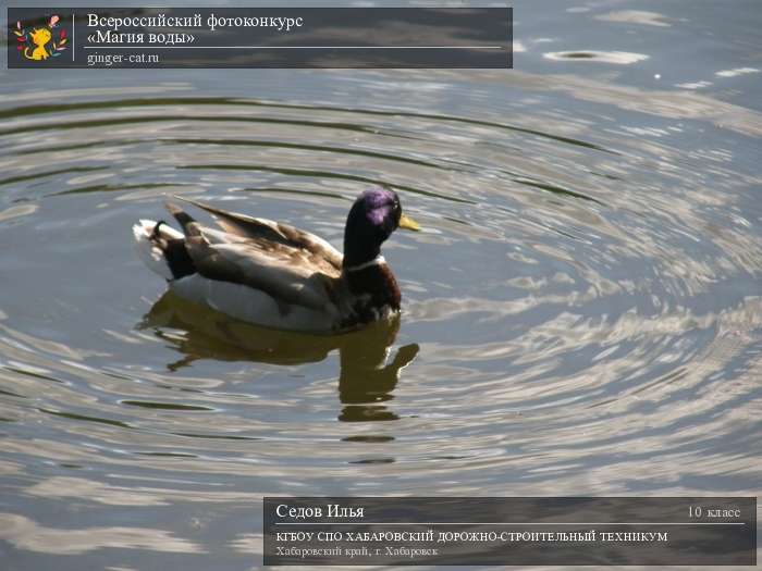 Всероссийский фотоконкурс «Магия воды»  - детский рисунок, поделка, творческая работа, категория школьники, 10 класс, дистанционный конкурс, школьный конкурс