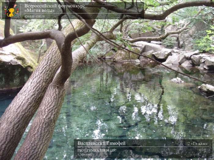 Всероссийский фотоконкурс «Магия воды»  - детский рисунок, поделка, творческая работа, категория школьники, 2 класс, дистанционный конкурс, школьный конкурс