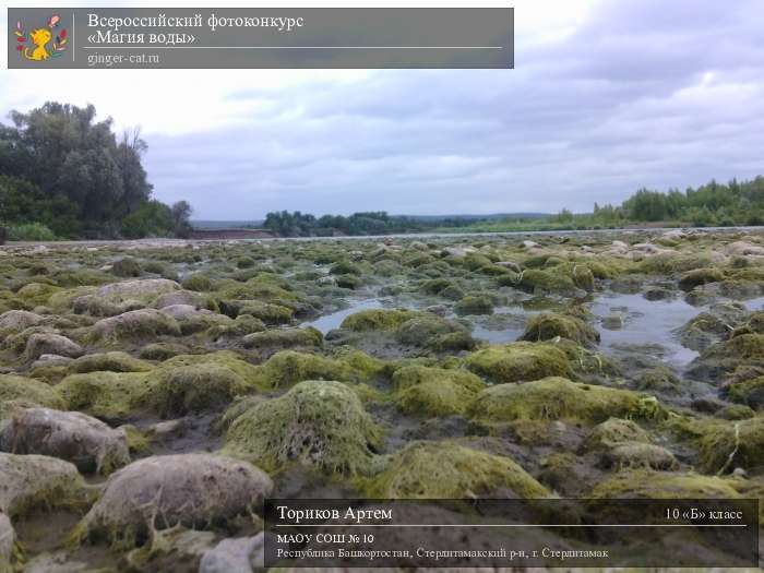 Всероссийский фотоконкурс «Магия воды»  - детский рисунок, поделка, творческая работа, категория школьники, 10 класс, дистанционный конкурс, школьный конкурс