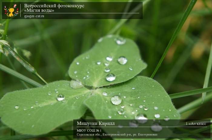 Всероссийский фотоконкурс «Магия воды»  - детский рисунок, поделка, творческая работа, категория школьники, 1 класс, дистанционный конкурс, школьный конкурс