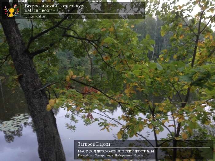 Всероссийский фотоконкурс «Магия воды»  - детский рисунок, поделка, творческая работа, категория дошкольники, детский сад, дистанционный конкурс, школьный конкурс